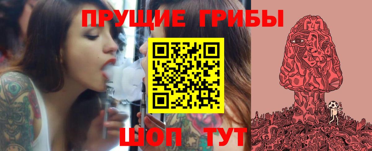 Саяногорск  Галлюциногенные грибы Psilocybe  Псилоцибиновые грибы Psilocybine cubensis  Вход с VPN 